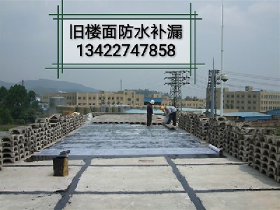 防水补漏工程 (2)
